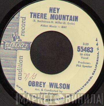 Obrey Wilson - Hey There Mountain / Say It Again