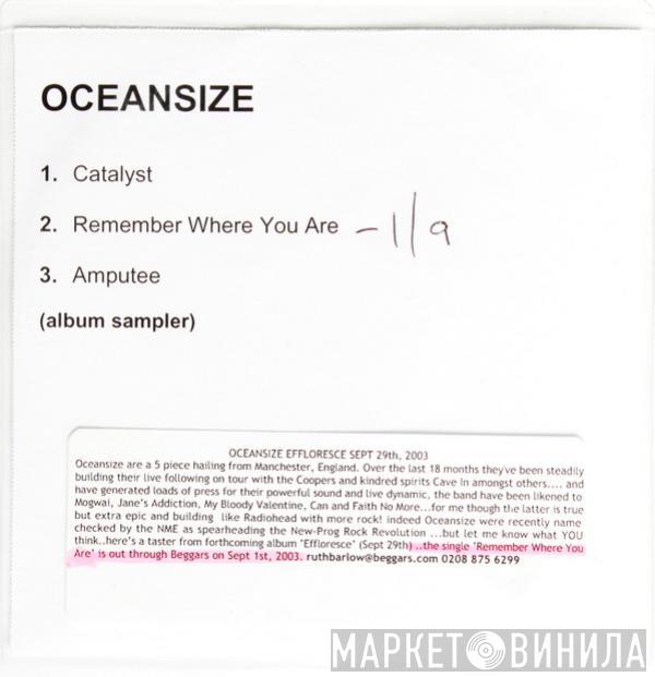 Oceansize - Album Sampler