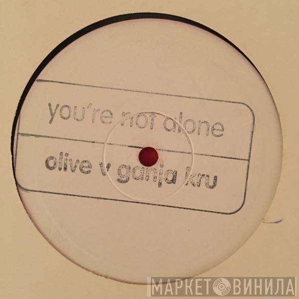  Olive  - You're Not Alone (Remixes)