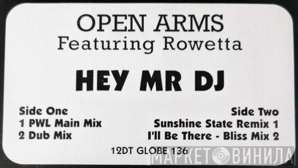 Open Arms - Hey Mr DJ