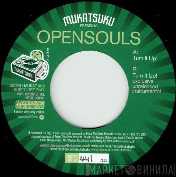 Opensouls - Turn It Up!