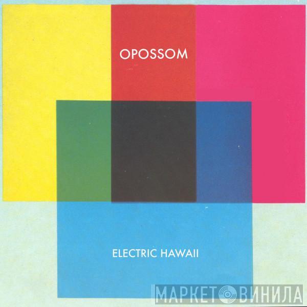 Opossom - Electric Hawaii