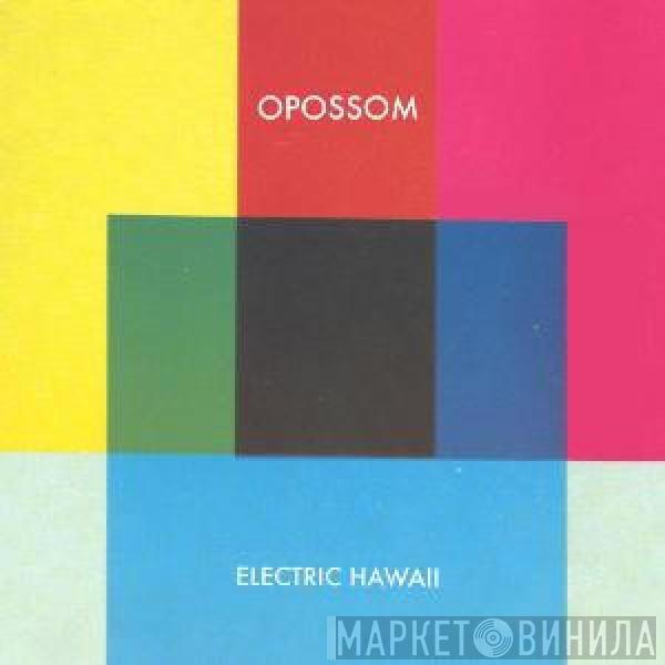 Opossom - Electric Hawaii