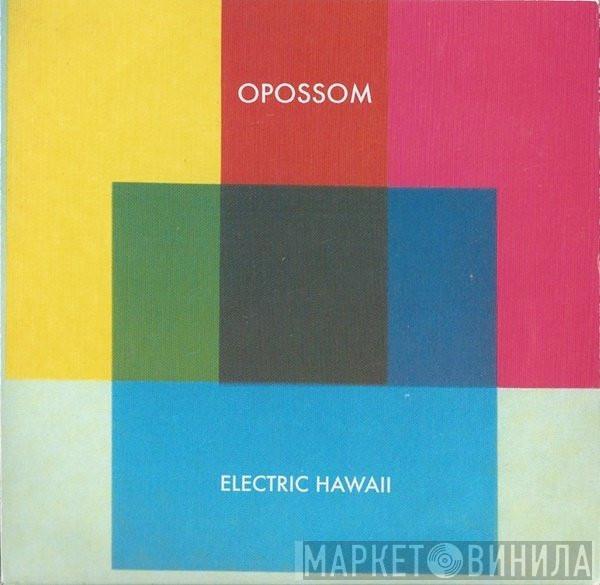 Opossom - Electric Hawaii