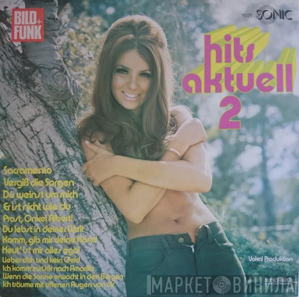 Orchester Udo Reichel - Hits Aktuell 2