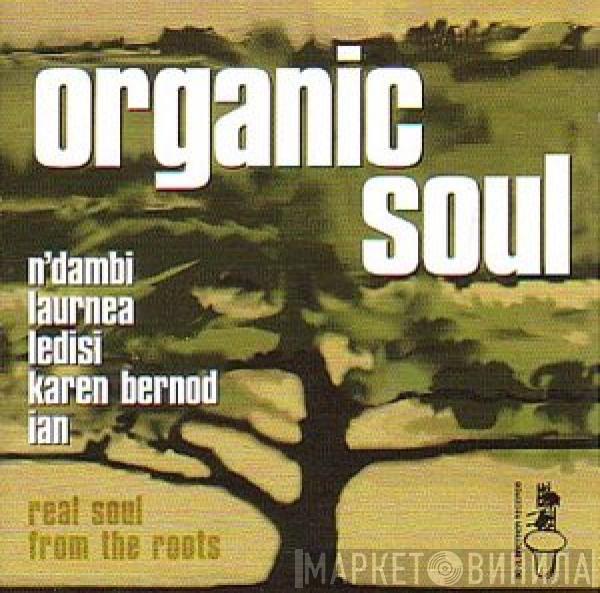  - Organic Soul (Real Soul From The Roots)