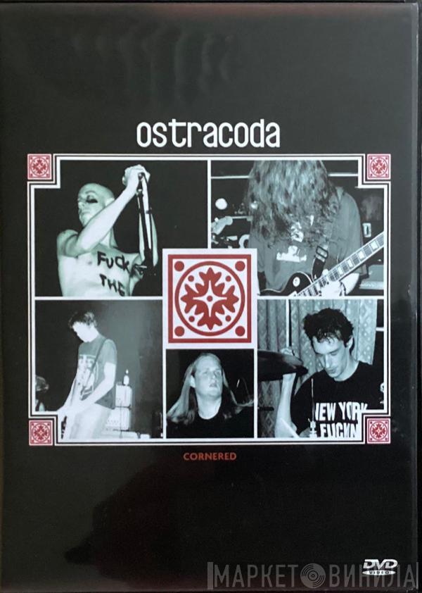 Ostracoda - Cornered