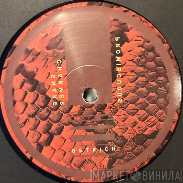 Ostrich - Snake Charmer EP