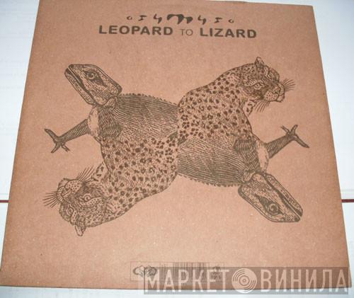 Osymyso - Leopard To Lizard