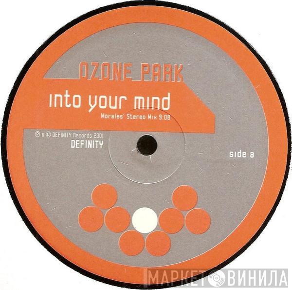 Ozone Park - Into Your Mind / D Journey