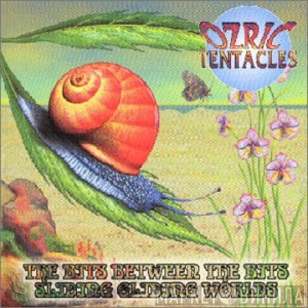 Ozric Tentacles - The Bits Between The Bits / Sliding Gliding Worlds