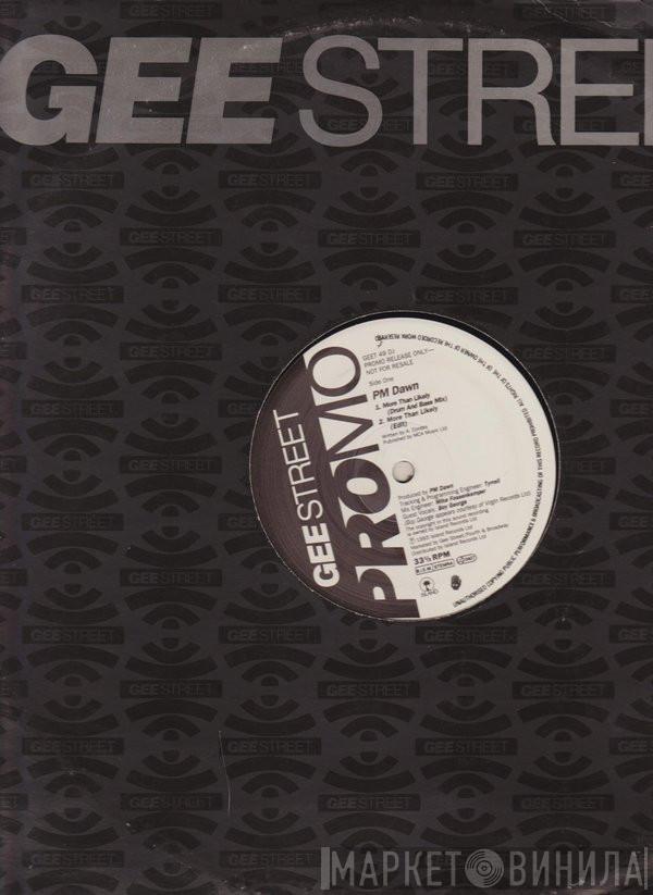 P.M. Dawn - More Than Likely