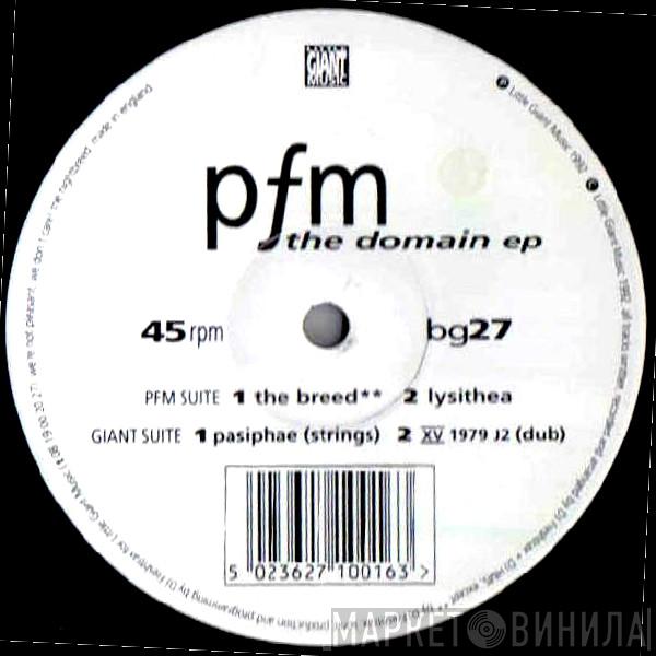 PFM  - The Domain EP