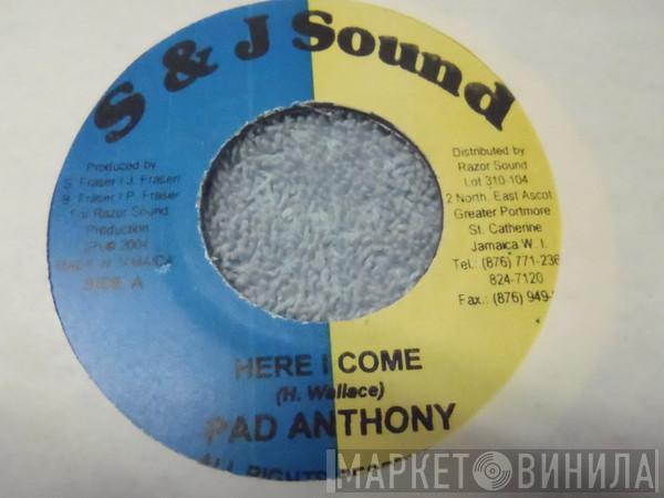 Pad Anthony - Here I Come