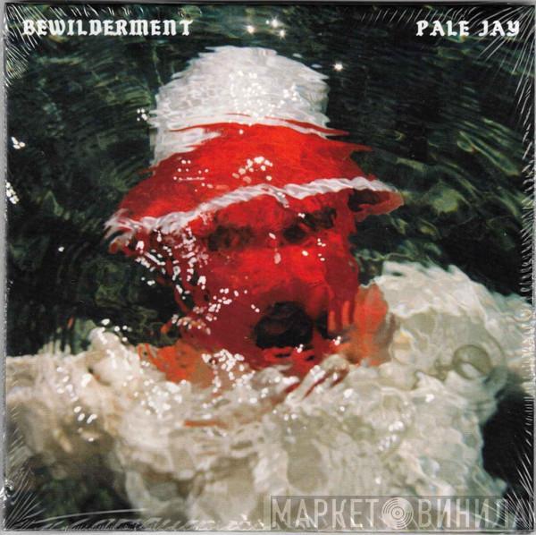 Pale Jay - Bewilderment