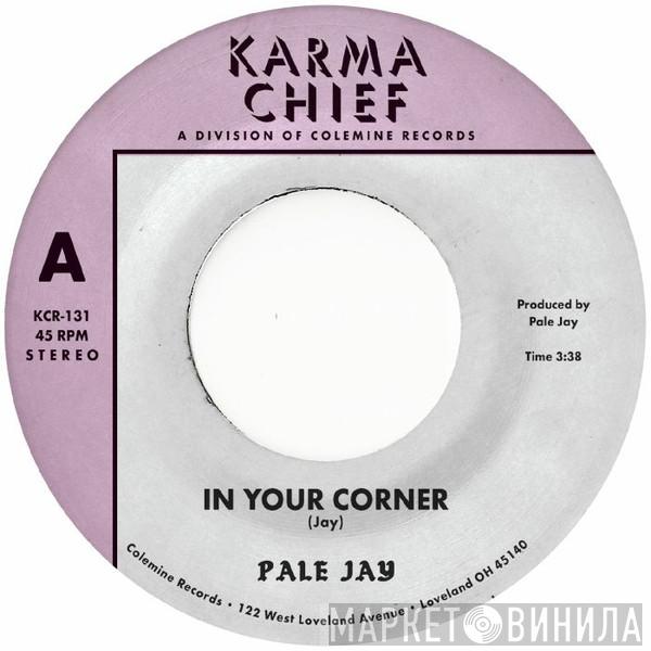 Pale Jay - In Your Corner
