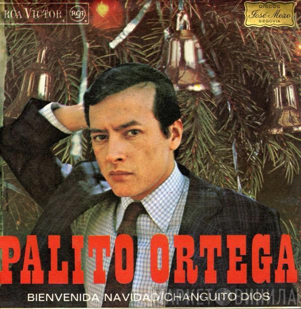 Palito Ortega - Bienvenida Navidad / Changuito Dios