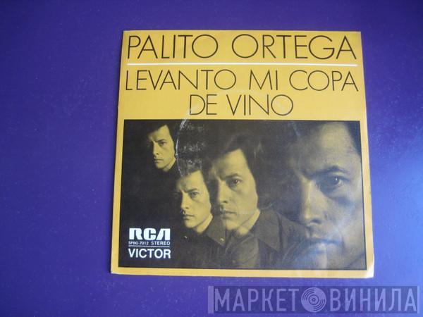 Palito Ortega - Levanto Mi Copa De Vino