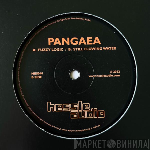 Pangaea  - Fuzzy Logic / Still Flowing Water