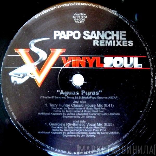 Papo Sanchez - Aguas Puras (Remixes)