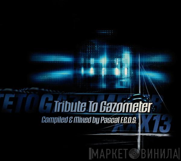 Pascal F.E.O.S. - Gazometertraxxx: XXX 13 - Tribute To Gazometer
