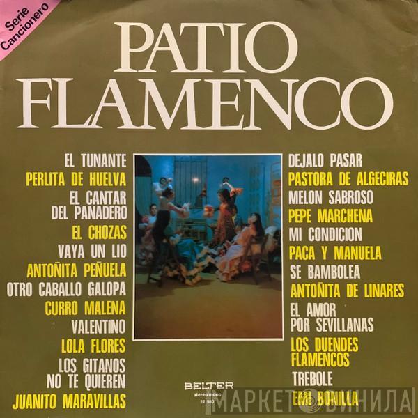  - Patio Flamenco