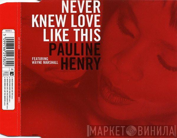 Pauline Henry, Wayne Marshall  - Never Knew Love Like This