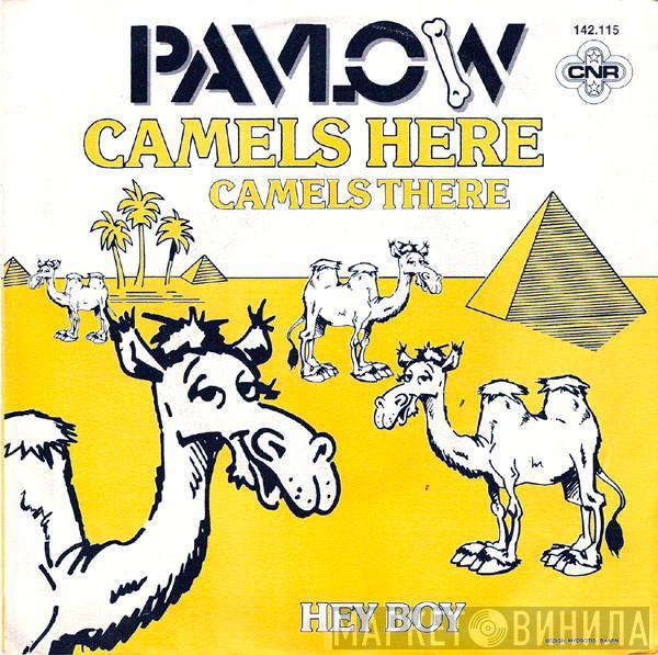 Pavlov - Camels Here, Camels There