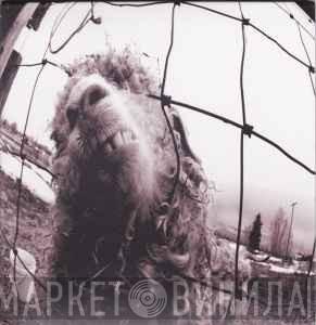  Pearl Jam  - Vs.