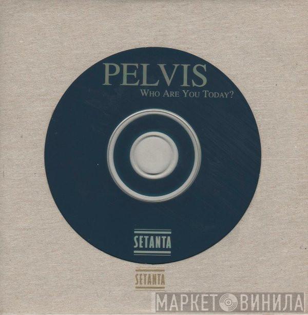 Pelvis - Who Are You Today?