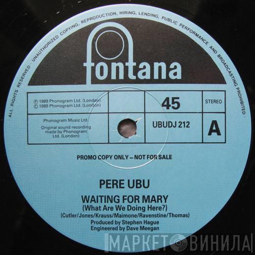 Pere Ubu - Waiting For Mary (What Are We Doing Here?)