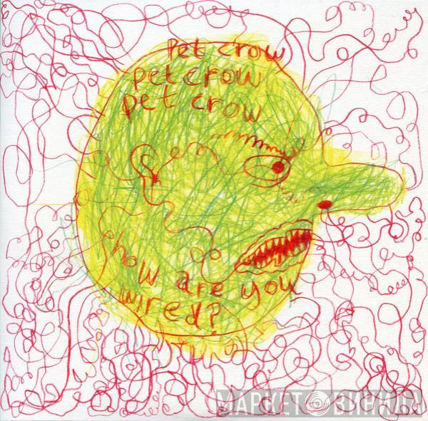 Pet Crow - How Are You Wired?