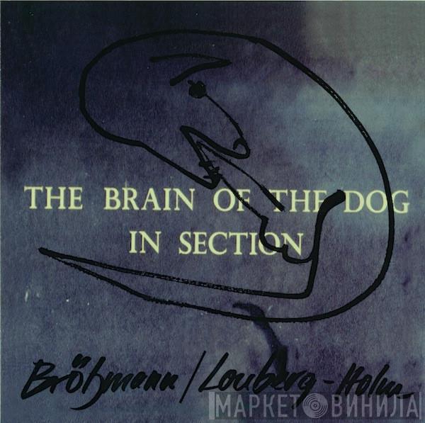 Peter Brötzmann, Fredrick Lonberg-Holm - The Brain Of The Dog In Section