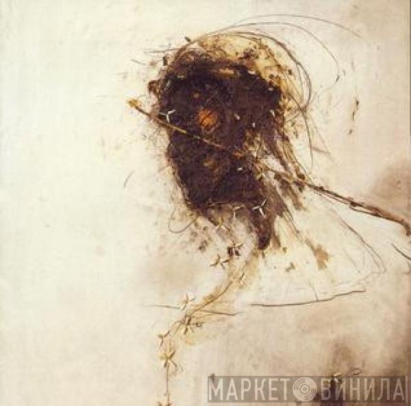  Peter Gabriel  - Passion