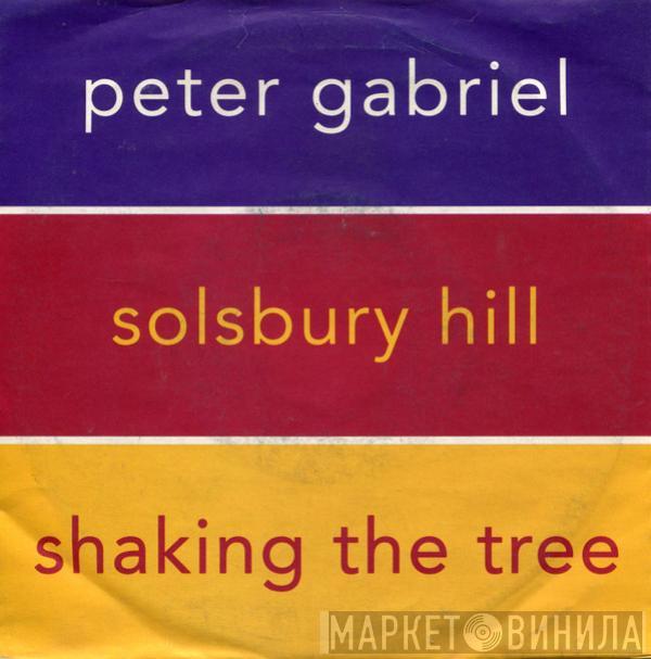 Peter Gabriel - Solsbury Hill / Shaking The Tree