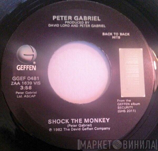 Peter Gabriel - Solsbury Hill / Shock The Monkey