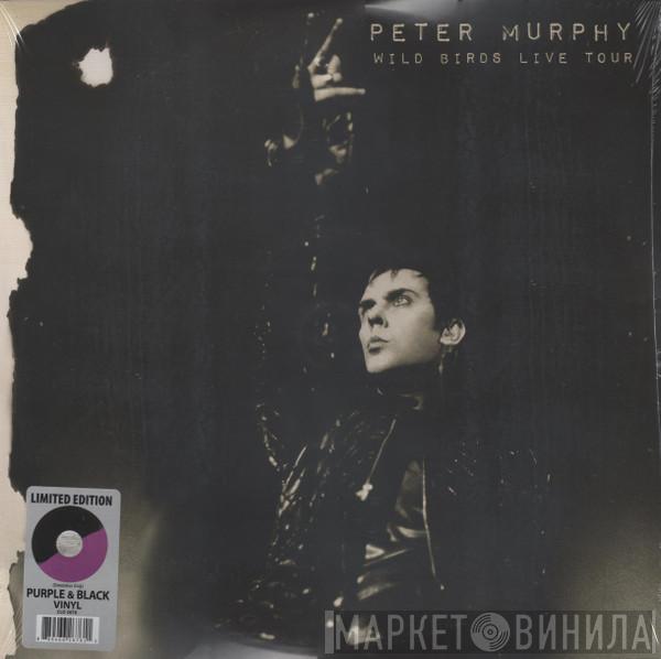 Peter Murphy - Wild Birds Live Tour
