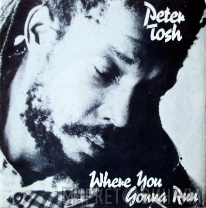 Peter Tosh - Where You Gonna Run