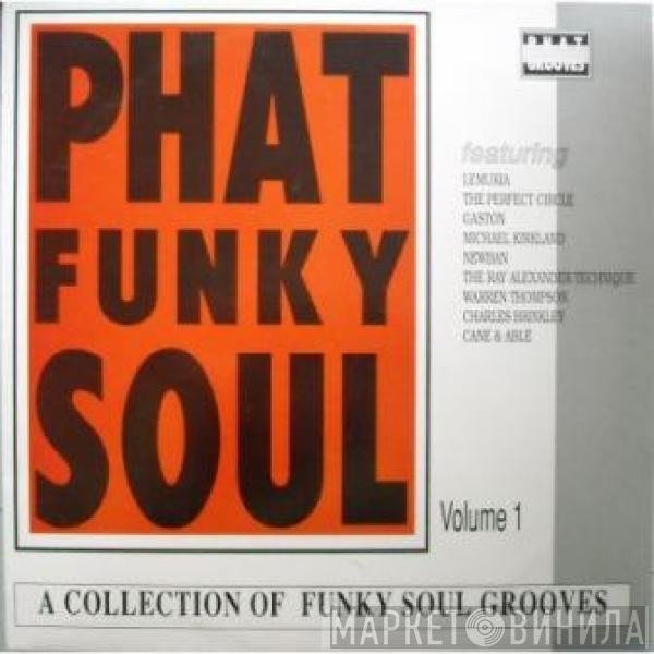  - Phat Funky Soul Volume 1