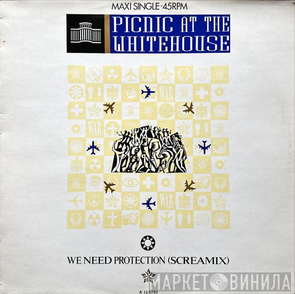 Picnic At The Whitehouse - We Need Protection (Screamix)