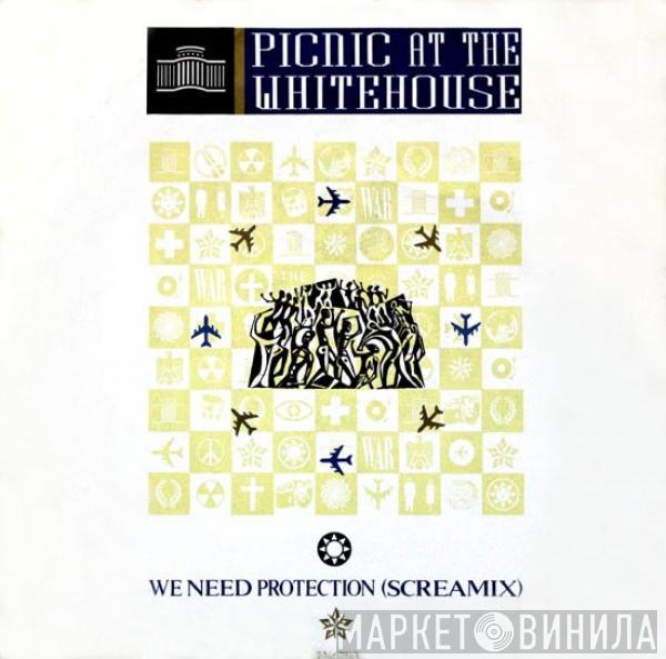 Picnic At The Whitehouse - We Need Protection (Screamix)
