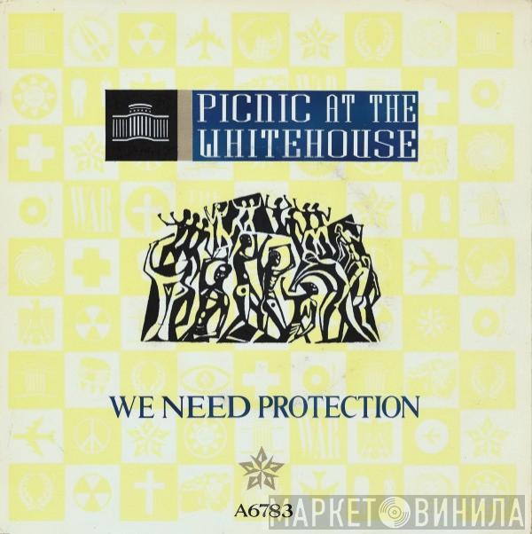 Picnic At The Whitehouse - We Need Protection