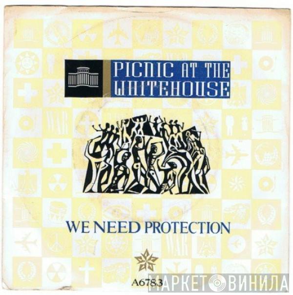 Picnic At The Whitehouse - We Need Protection