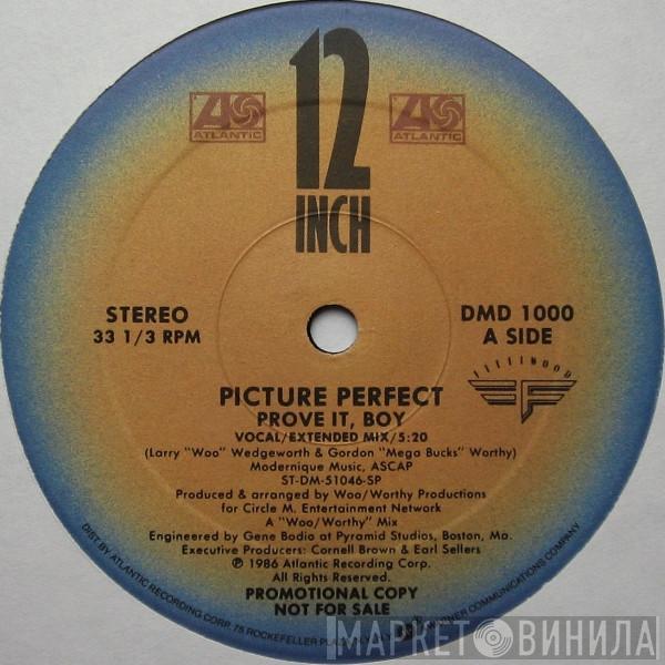 Picture Perfect  - Prove It, Boy