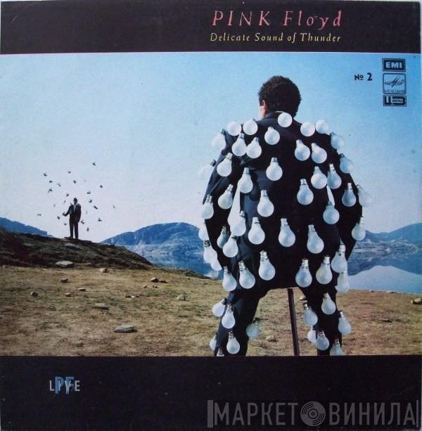  Pink Floyd  - Delicate Sound Of Thunder № 2