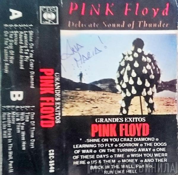  Pink Floyd  - Delicate Sound Of Thunder - Grande Exitos