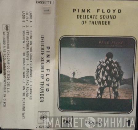  Pink Floyd  - Delicate Sound Of Thunder