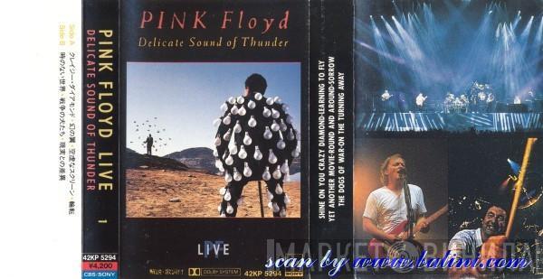  Pink Floyd  - Delicate Sound Of Thunder