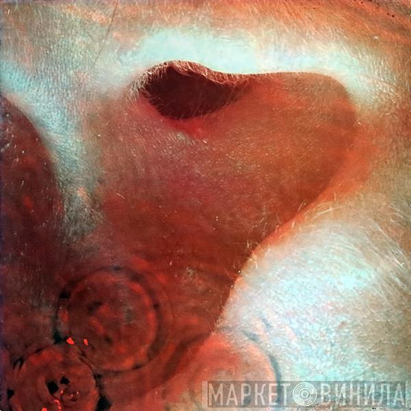  Pink Floyd  - Meddle