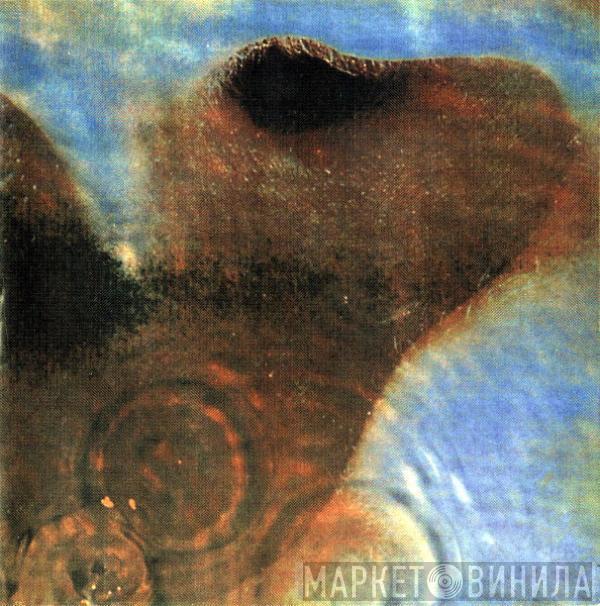  Pink Floyd  - Meddle